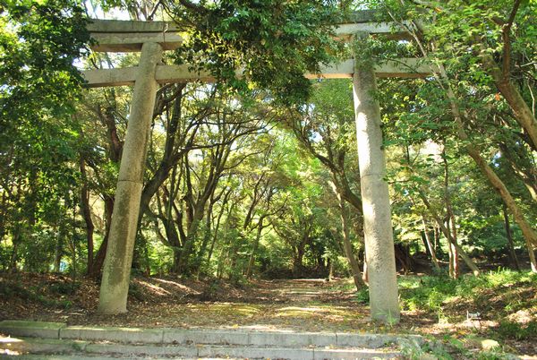 新羅善神堂　鳥居