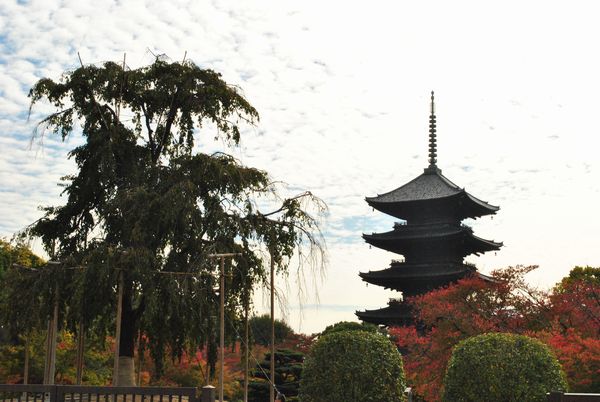 東寺