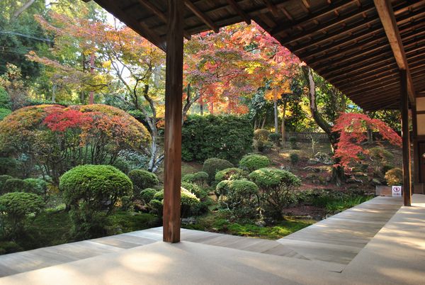 三井寺　観学院客殿