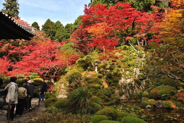 金剛輪寺　庭園