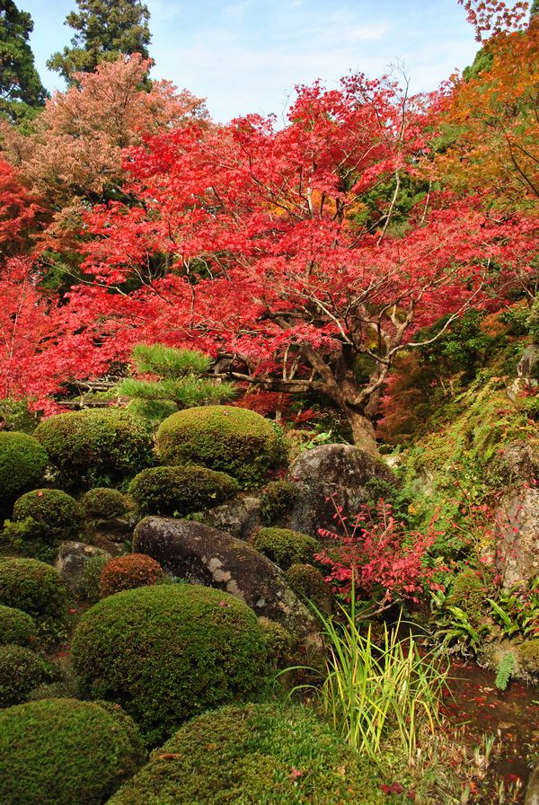 金剛輪寺　庭園