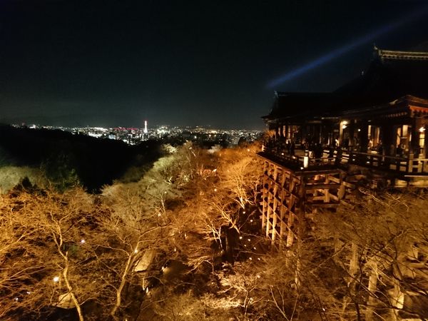 清水寺　夜景　ライトアップ