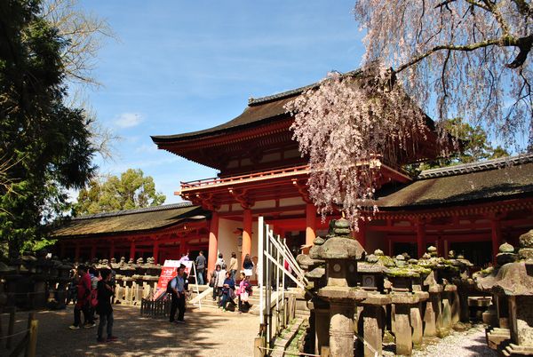 春日大社 式年造替