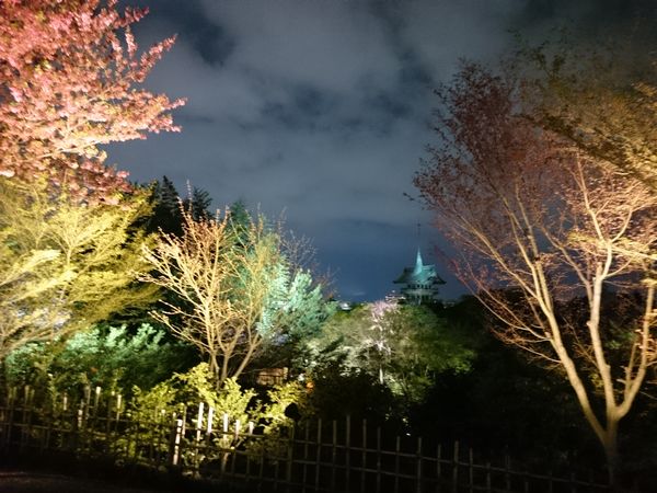 高台寺　祇園閣