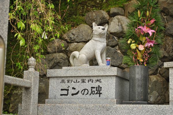 高野山の案内犬　ゴン