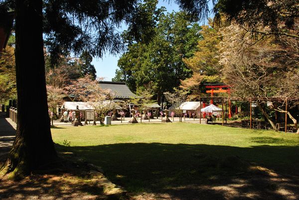 丹生都比売神社　庭