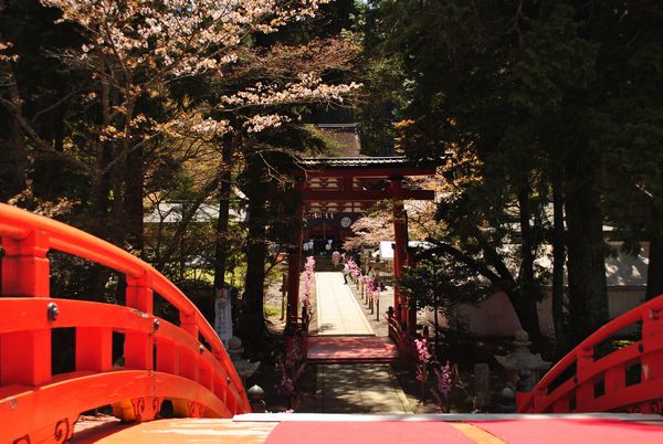 丹生都比売神社　太鼓橋