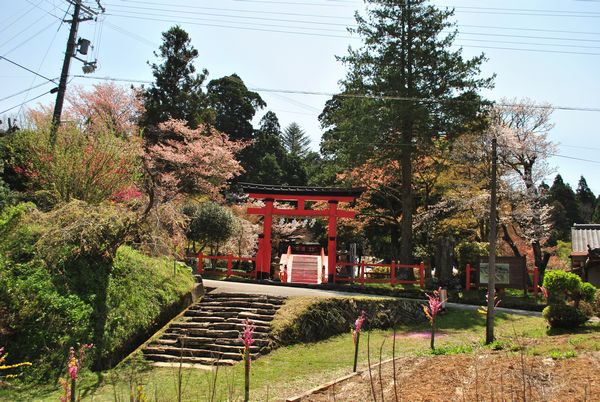 丹生都比売神社