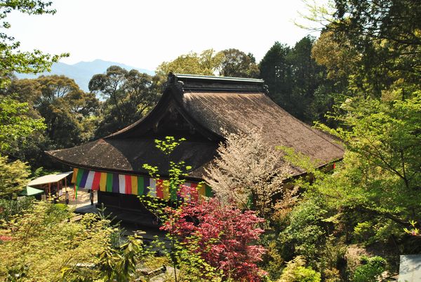 善水寺　本堂