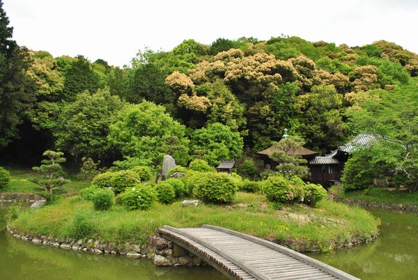 根来寺　聖天池