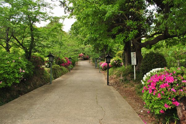 根来寺　参道