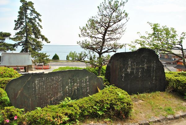 白鬚神社　紫式部