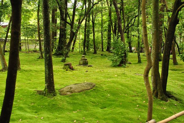 秋篠寺　苔庭