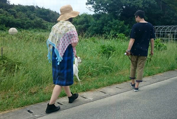 浜比嘉島　ヤギの散歩