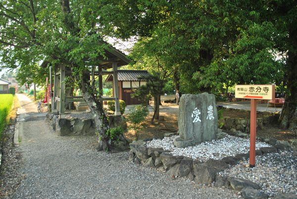 赤分寺