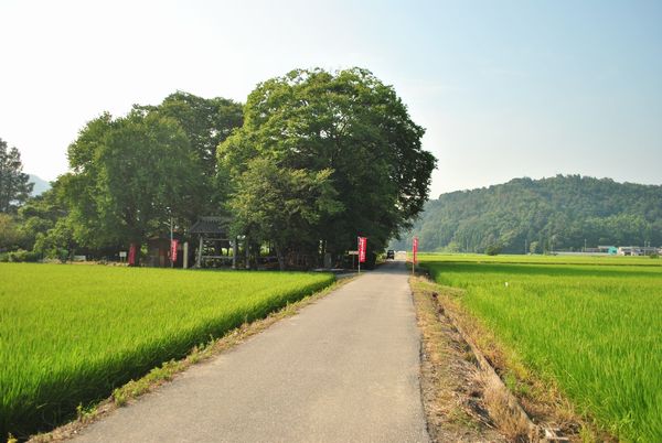 赤分寺