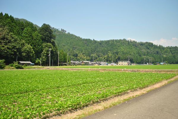 田園風景