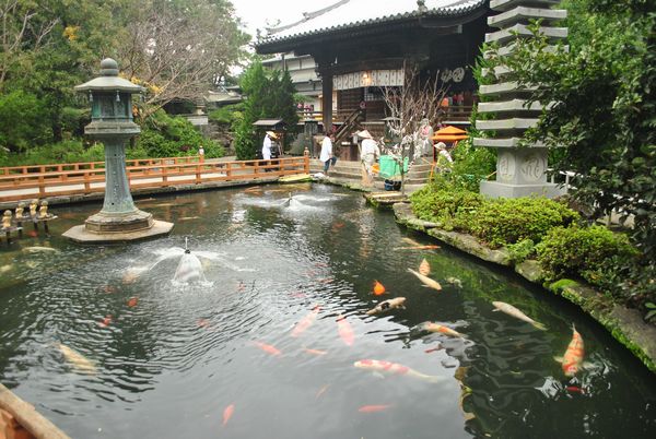 霊山寺　泉水池