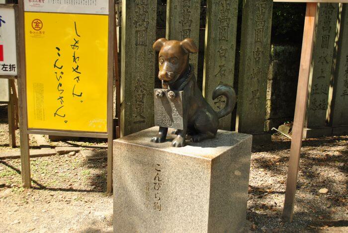 こんぴら狗