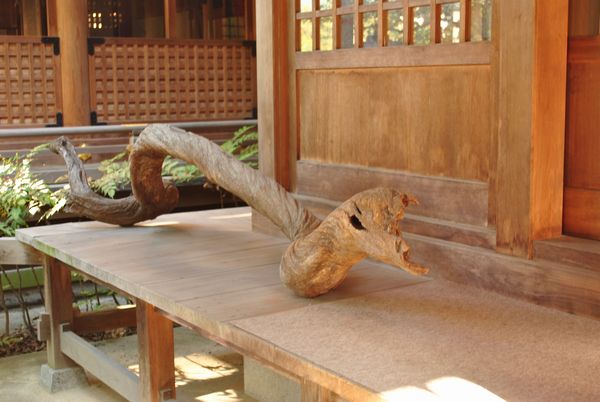 田村神社　流木