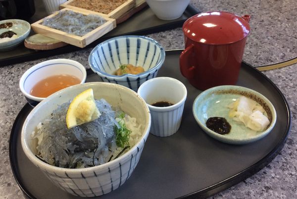 うずの丘　生しらす味めぐり丼