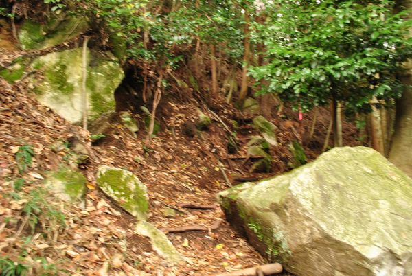 八王子山　登り道