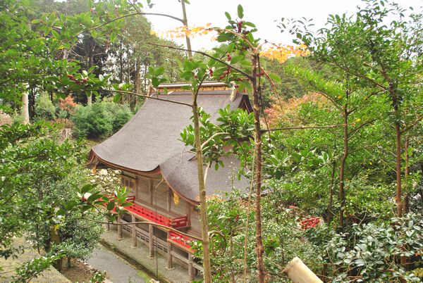 東本宮本殿　背面