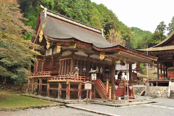 日吉大社　樹下宮本殿