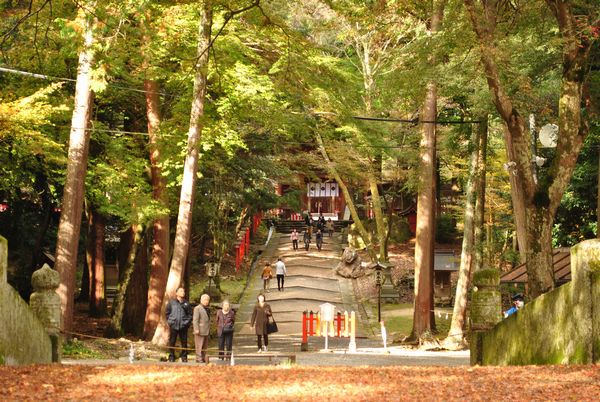 日吉大社　二宮橋