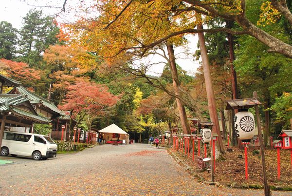 日吉大社　西本宮　参道