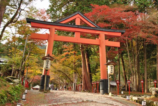 日吉大社　山王鳥居