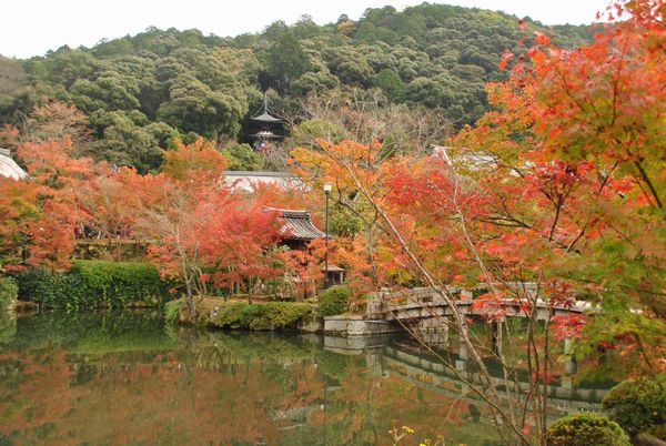 永観堂　多宝塔