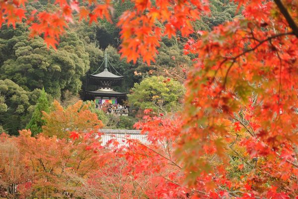 永観堂　多宝塔