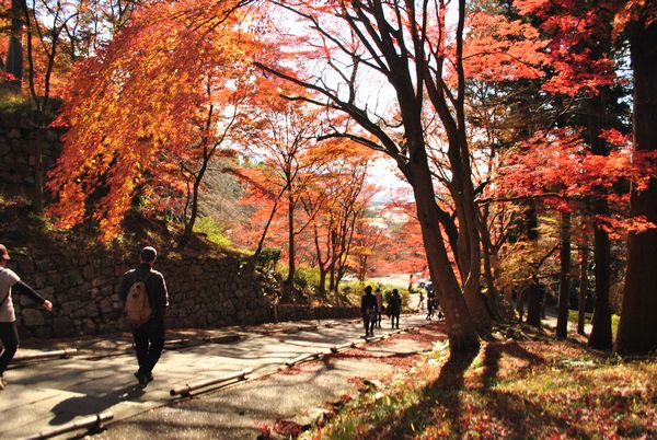 毘沙門堂　散紅葉