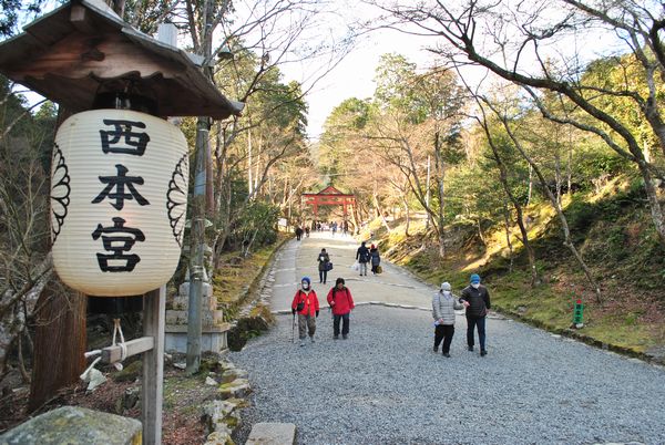 日吉大社　参道