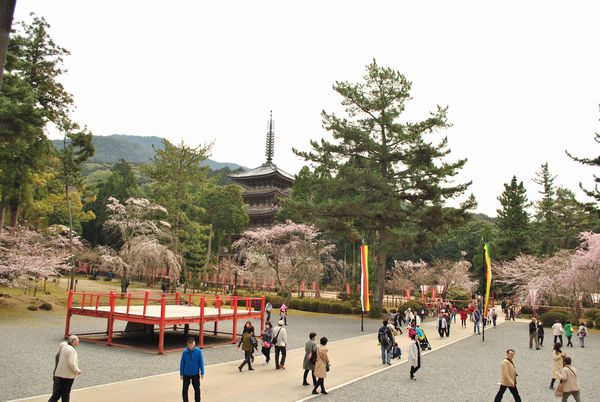 醍醐寺　金堂　前庭