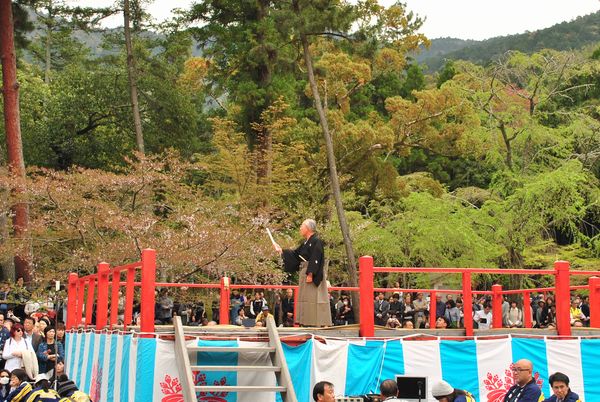 醍醐の花見　俳句