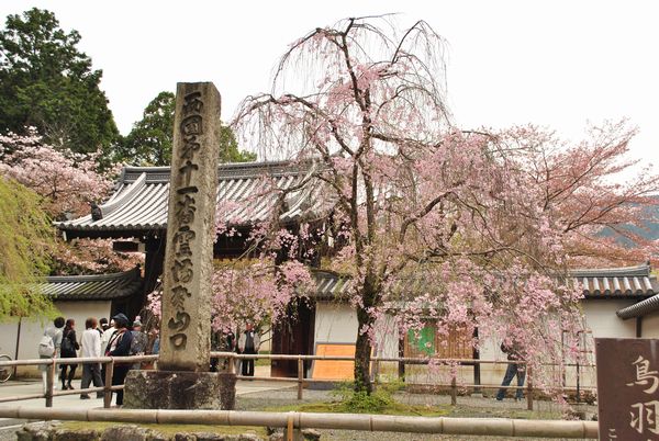 醍醐寺　総門