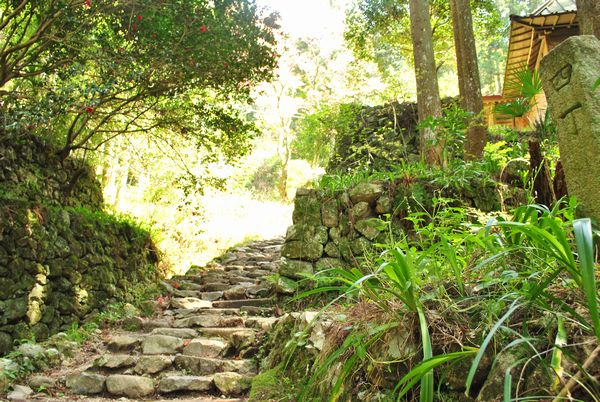 施福寺　石段