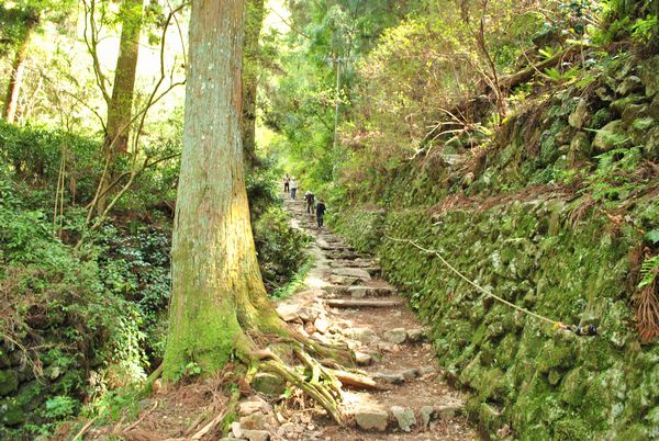 施福寺　石段