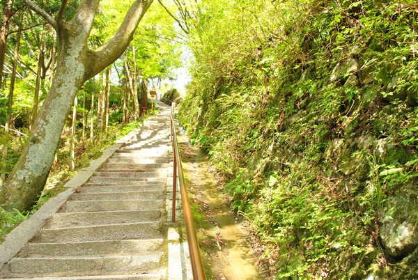 施福寺　石段