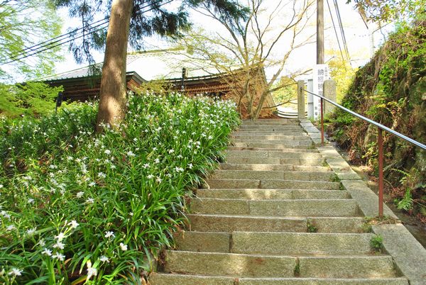 施福寺　石段