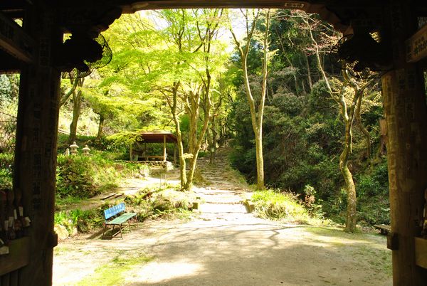 施福寺　楼門