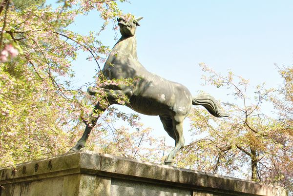 施福寺　馬