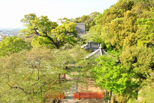 紀三井寺　境内見下ろし