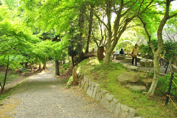 播州清水寺　旧参道