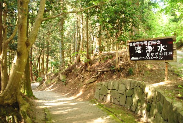 おかげの井戸