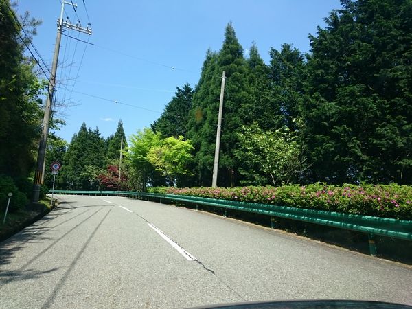 播州清水寺　登山道