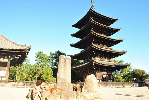 興福寺　五重塔