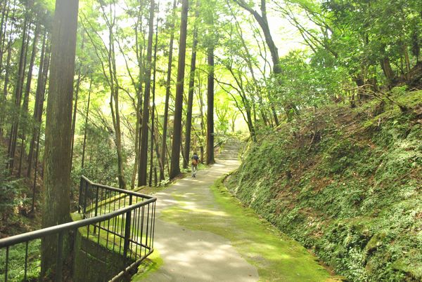 神護寺　地蔵院